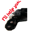 Çıkartma