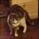Çıkartma
