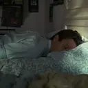 ملصق