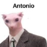 Çıkartma