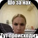ملصق