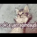 ملصق