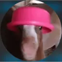 ملصق