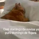 ملصق