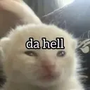 ملصق