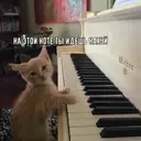ملصق
