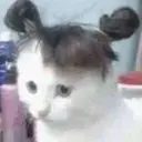 ملصق