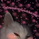 ملصق