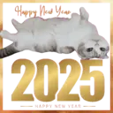 Çıkartma