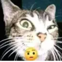 Çıkartma