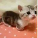 Çıkartma