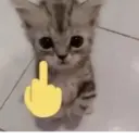 Çıkartma