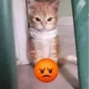 Çıkartma