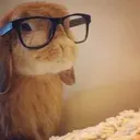 ملصق