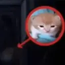 ملصق