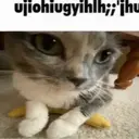 ملصق