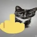 ملصق