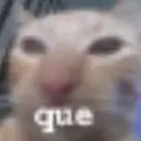 ملصق