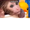 Çıkartma