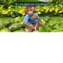 Çıkartma