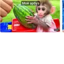 Çıkartma