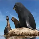 ملصق