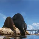 ملصق