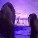 ملصق