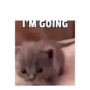 ملصق