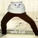 Çıkartma