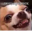 Çıkartma