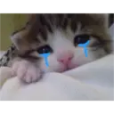 ملصق
