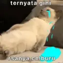 Çıkartma