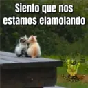 ملصق