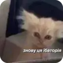 Çıkartma