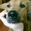 Çıkartma