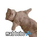 Стикер