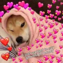 Стикер