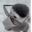 Çıkartma