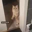 Çıkartma