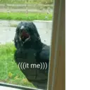 ملصق