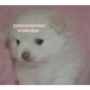 ملصق