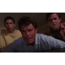 ملصق