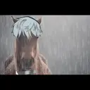 ملصق