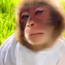 Çıkartma