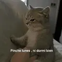 ملصق