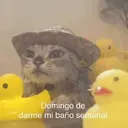 ملصق