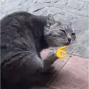 Çıkartma
