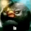 ملصق