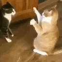 ملصق